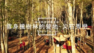 |島嶼的蒼穹空拍211|露營秘境|新竹尖石|秀巒楓樹林 4K空拍 Bee Show 2020 TAIWAN