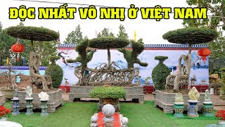 Có Lẽ Ở Việt Nam Bộ Sanh Ngai Vàng Này Độc Nhất Vô Nhị