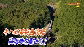 [4K60P]荷坂峠を下るキハ85系特急南紀81号