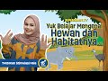 MENGENAL HEWAN DAN HABITATNYA | Edukasi, Belajar Nama Hewan, Suara & Gerakannya untuk Bayi & Balita.