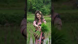 Beautiful Hmong girl in rice fields #Hmong #Hmong songs #Hmong news #Hmong xov xwm #AI generated