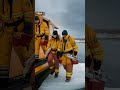 polar bear barnacles removed by snowmobile rescue team