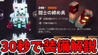 【マイクラダンジョンズ】30秒で装備解説！闘士の締め具【naotin】