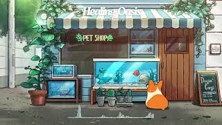 Cozy Lofi Music for Relaxing Afternoon Walks 🐾 Chill Beats for Small Town Vibes & Peaceful Moments