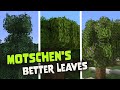 Motschen's Better Leaves Texture Pack for Minecraft  1.19 | Download & Showcase