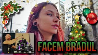 FACEM BRADUL DE CRĂCIUN 🎄💖 DAILY VLOG 💖