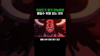 원피스)카이도가 패기 만능론에 빠진 이유