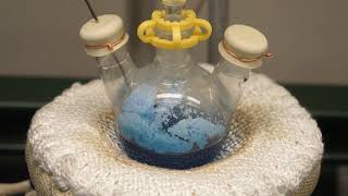 ChemCatBio Webinar Series: Accelerating the Catalyst Development Cycle
