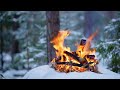 4k 📺 silent winter campfire deep in a forest 🌲soothing sounds