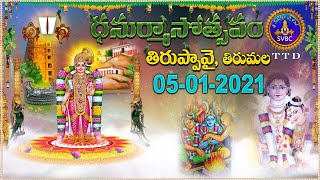 ధనుర్మాసోత్సవం | తిరుప్పావై | DHANURMASOTSAVAM | TIRUPPAVAI | 05-01-2021 | SVBC TTD