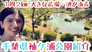 【千葉県袖ケ浦市】袖ケ浦公園紹介！大きな池・花見広場・散歩にちょうど良い！Part 1 Sodegaura-Chiba