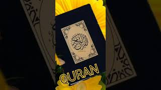 QURAN 🕋SURAH 🕋NR QURAN E PAK #quran#allah#allah#qurantranslation#surah #allah#jummahmobarak#allah