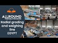 Potato radial grading and weighing line | EGA | Egypt | Allround Vegetable Processing