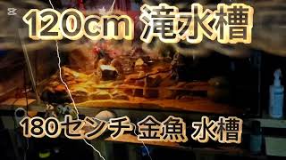 🆕️120cm 滝 水槽💦サワガニ川魚水槽　180cm 金魚 水槽　水温15°cぐらい