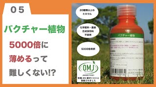 【バクチャー商品使い方】バクチャー植物の5000倍の薄め方！