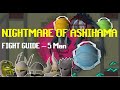 Nightmare of Ashihama Fight Guide (5-Man)