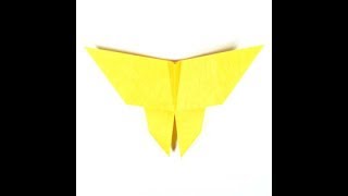 ORIGAMI BUTTERFLY|Origami4U