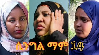 ሲንግል ማም (አስተማሪ ድራማ)ክፍል 14             Single Mom