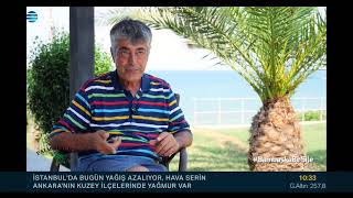 NTV | Palm Beach Şile açıldı!