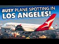 30 MINUTES of BUSY Plane Spotting at LAX Los Angeles International Airport (4K)