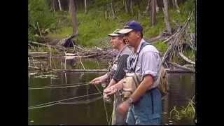 Rainbow Trout Fly Fishing | Quebec