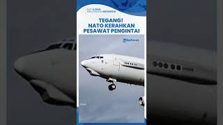 Khawatir Ancaman Rusia, NATO Kerahkan 3 Pesawat Pengintai ke Kawasan Perbatasan, Ini Penampakannya