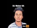 Dj Males SA Impumelelo ft Bhebhe