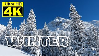 4k Video Ultra HD  of Beautiful Winter Scenery With Relaxing Music | Miraculous Nature