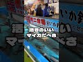 函館朝市で活イカを釣って活け造り