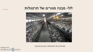 צורות גידול שיצר האדם