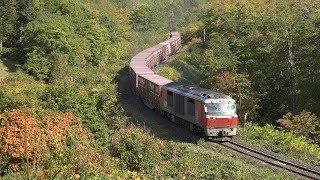 2019.09.29 撮影　常紋峠 色変化?　石北貨物 玉ねぎ列車　☆北鉄路漫593