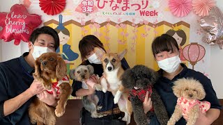 【幼稚園】紫竹山店💓月曜日の小型犬ちゃん💓