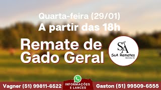 ENCERRADO Remate - 29 de Janeiro de 2025 - Mostardas/RS