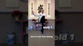 Tai Chi outside kick many different ways