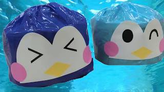 ペンギンのプールたいそう feat.浜松情報専門学校withあきらちゃん