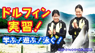 ドルフィン実習！学ぶ！遊ぶ！泳ぐ！【河原アイペットワールド専門学校】