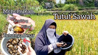 Berburu Tutut Sawah, Cara Memasak Tutut yang Benar