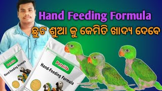 Petslife Hand Feeding Formula (ଛୁଟ ଶୁଆ କୁ କେମିତି ଖାଦ୍ୟ ଦେବେ)....