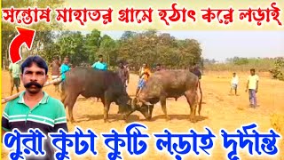 মিশিরডি সন্তোষ মাহাতর গ্ৰামে হঠাৎ করে কাড়া লড়াই #puruliakaralorai #video