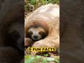 Unbelievable Animal Facts You DIDN'T Know: Part 2!