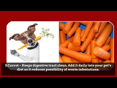 Natural Deworming For Dogs Cat Dewormer Recipe 7 Natural Dog Worming And Cat Treatment
