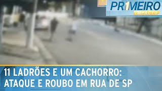 Onze ladrões e um cachorro: quadrilha ataca motorista em SP | Primeiro Impacto (24/12/24)