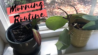 Morning Routine | Semi-Hydroponics Care