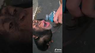 Monkey Drinking Gatorade