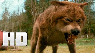 WEREWOLF | Action Movie Full Length English | | Full Action Movies HD