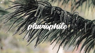 pluviophile | Canon EOS 800D | Cinematic | Canon EF 50mm f1.8 STM