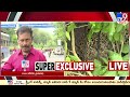 తిరుమలలో ఆపరేషన్ చీతా కంటిన్యూ leopard tirumala five @ 5 super exclusive news tv9