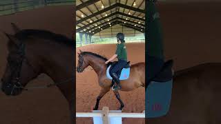 PATH Intl CTRI Video Application Submission - PASSING
