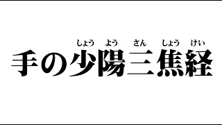 12.手の少陽三焦経の歌【経絡・ツボの覚え方】