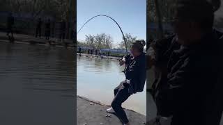 STRONGEST Fishing rod in the WORLD #shorts